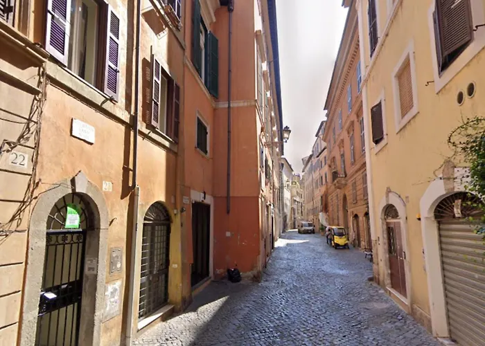 Navona Bear House Roma
